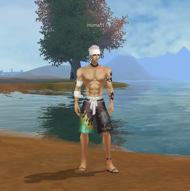 Surfer Set